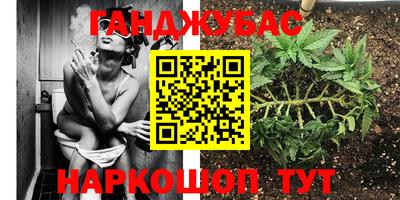 наркотики Будённовск