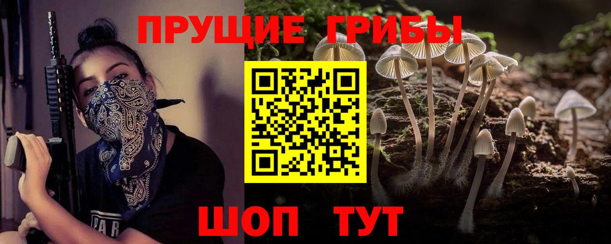 Псилоцибиновые грибы мицелий Кубинка